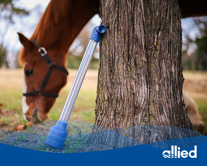 allied whychoose for img